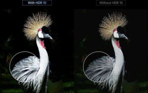 meilleur videoprojecteur 4k HDR bird
